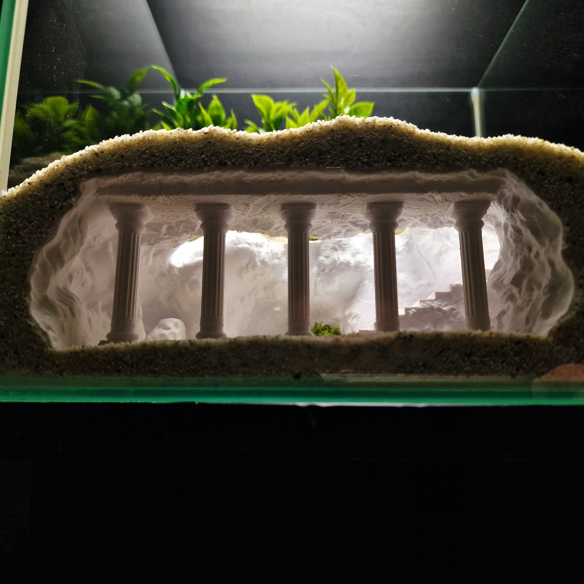 Cave 19 aquarium habitat view 10