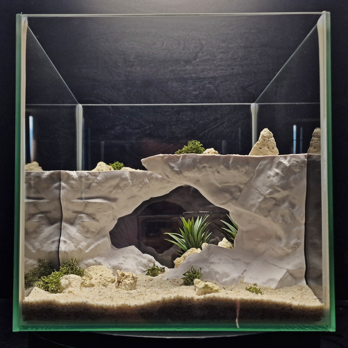 Cave 21 aquarium habitat view 2