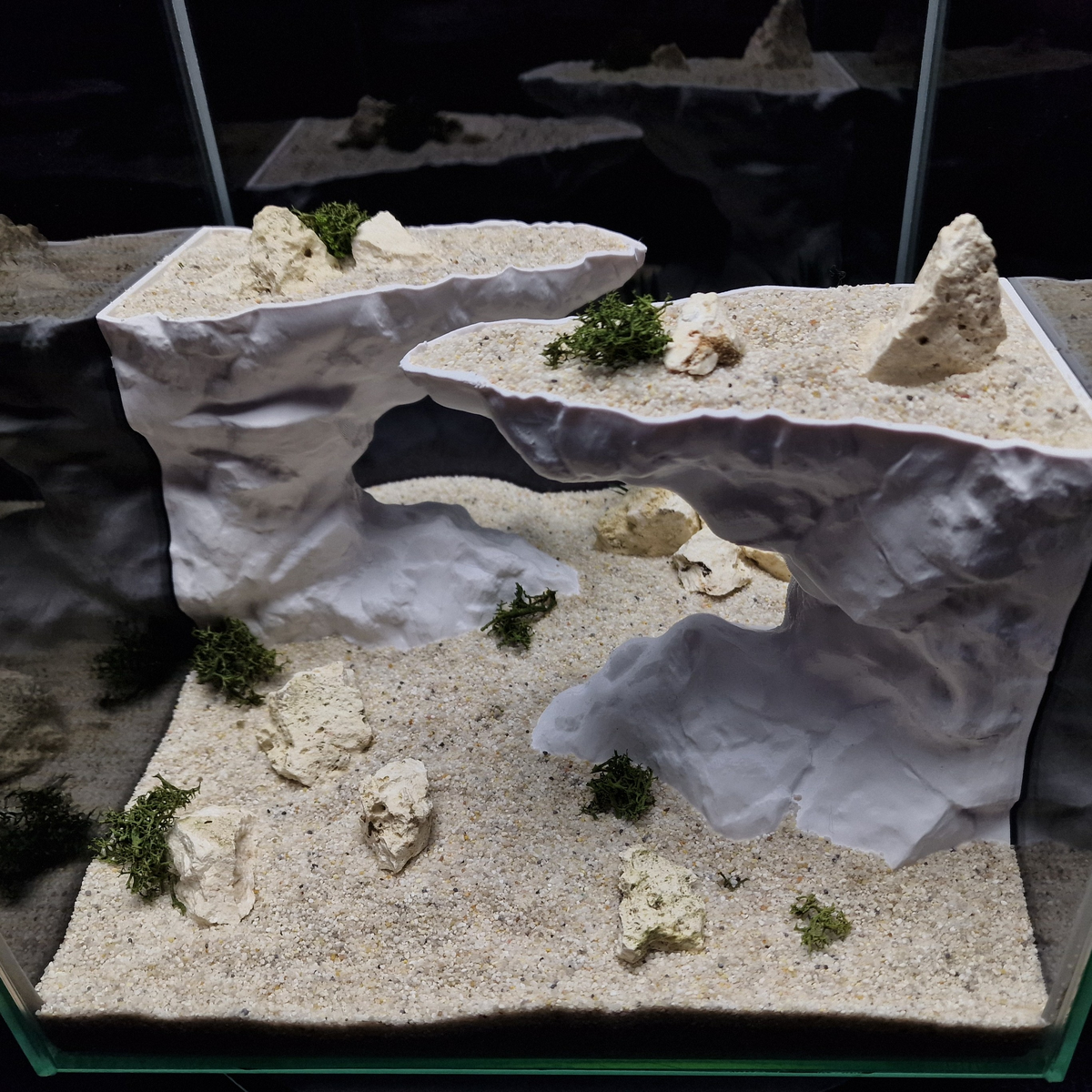 Cave 21 aquarium habitat view 7
