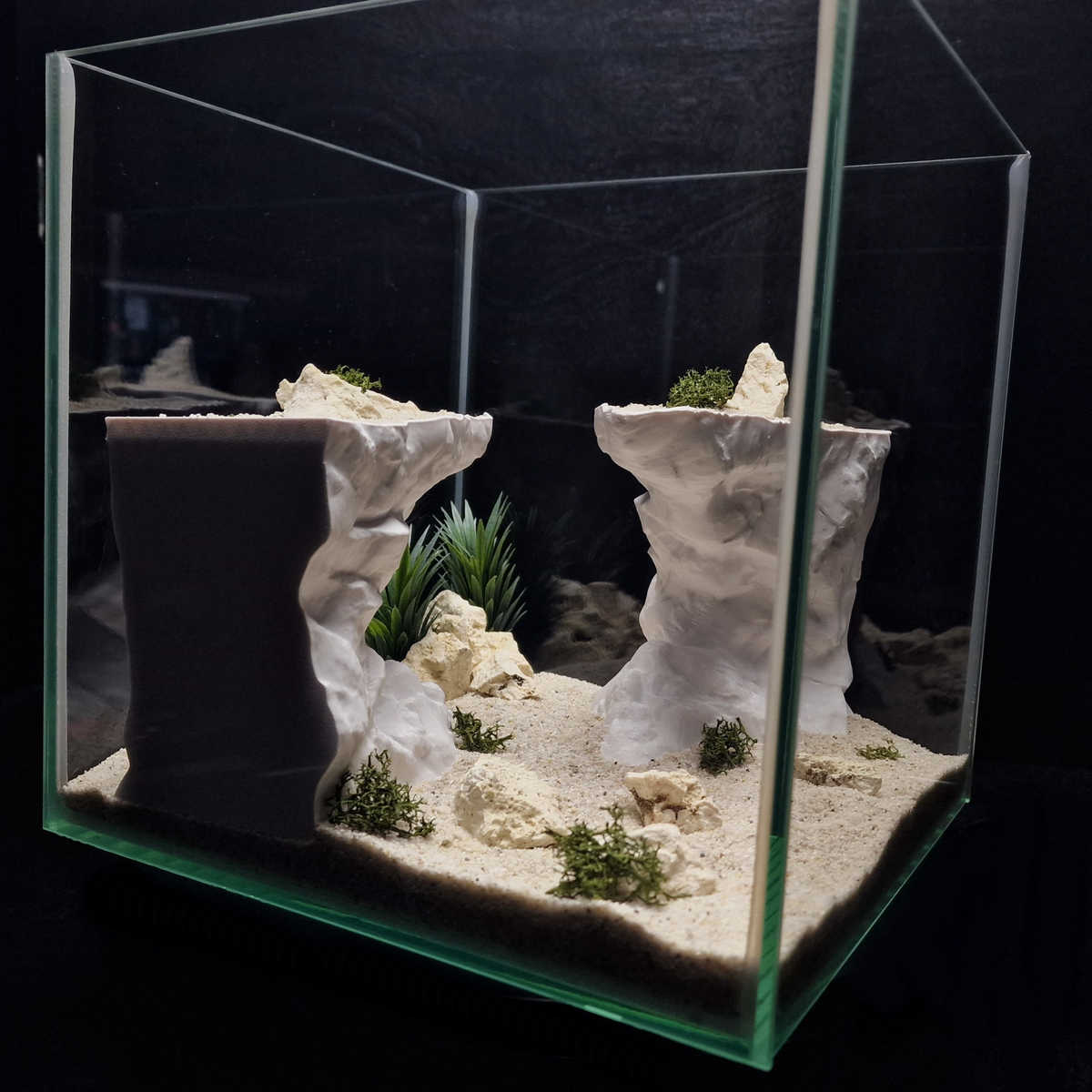 Cave 21 aquarium habitat view 8