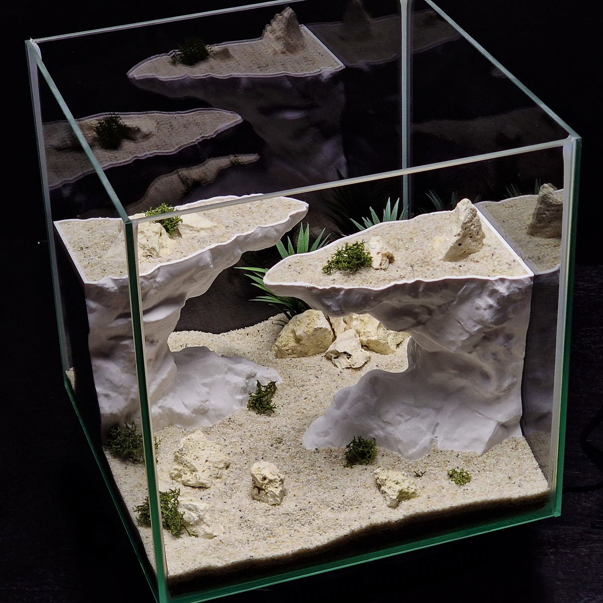 Cave 21 aquarium habitat view 9
