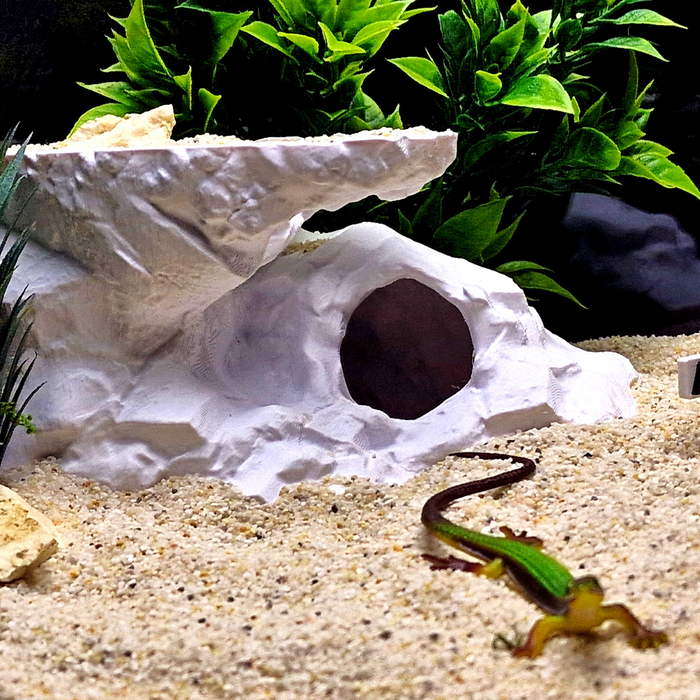 Cave 23 aquarium habitat view 2