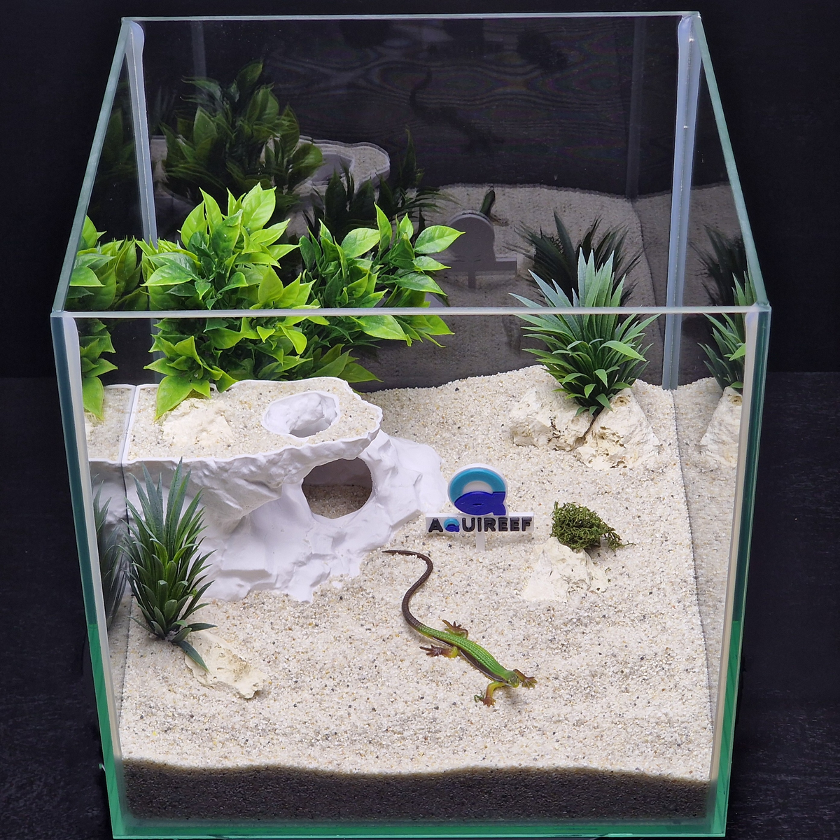 Cave 23 aquarium habitat view 8