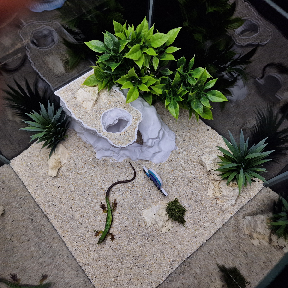 Cave 23 aquarium habitat view 9