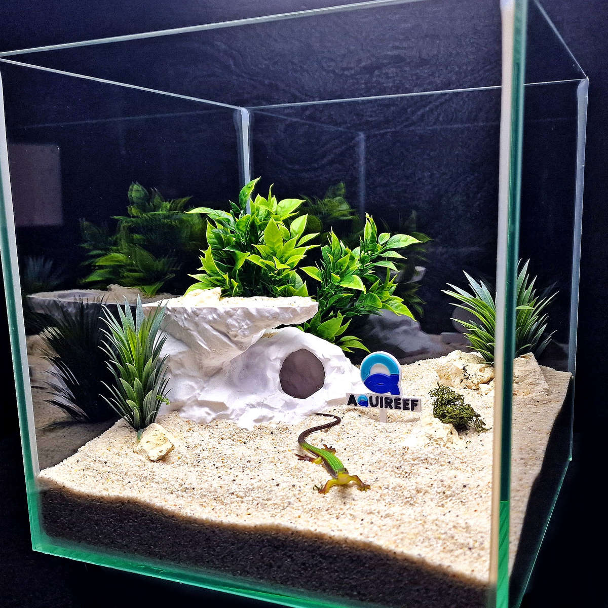 Cave 23 aquarium habitat view 10