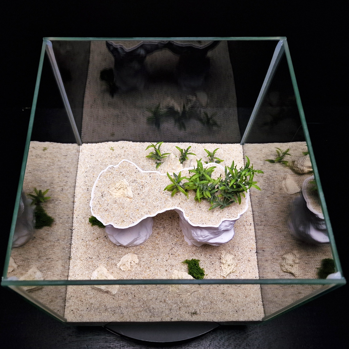 Cave 24 aquarium habitat view 10