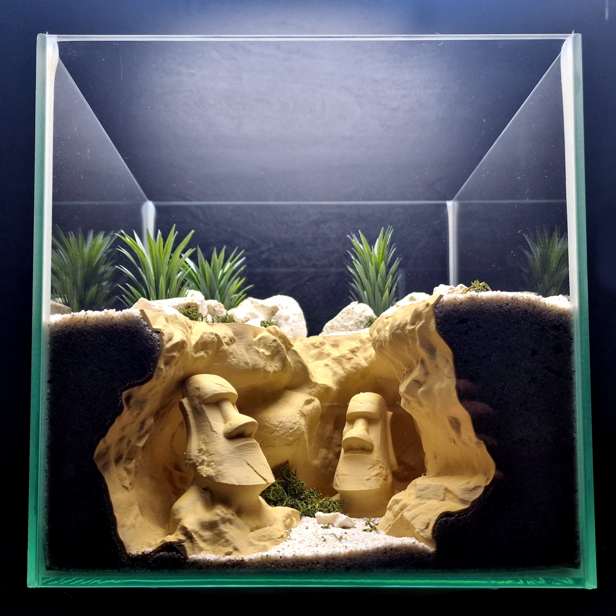 Cave 27 aquarium habitat view 2