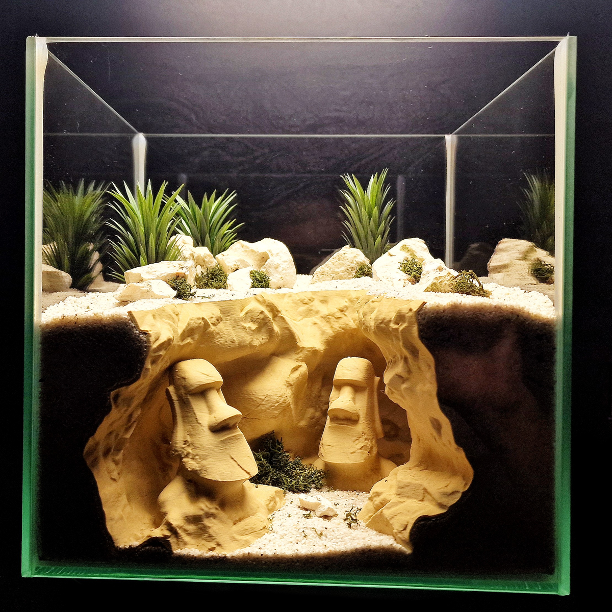 Cave 27 aquarium habitat view 3