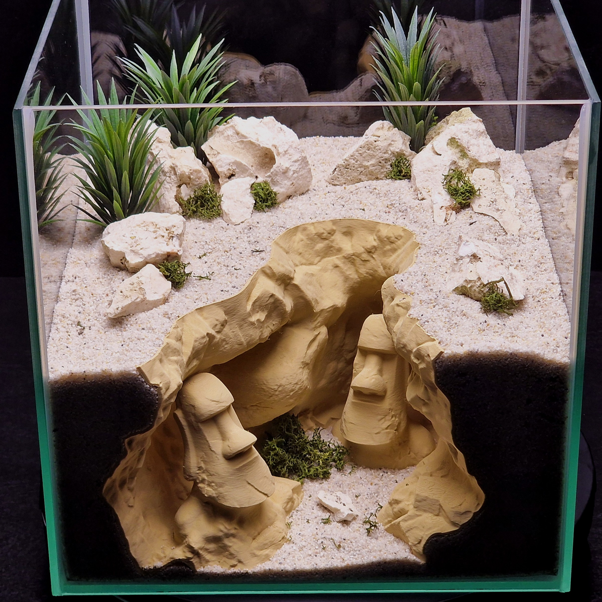 Cave 27 aquarium habitat view 4