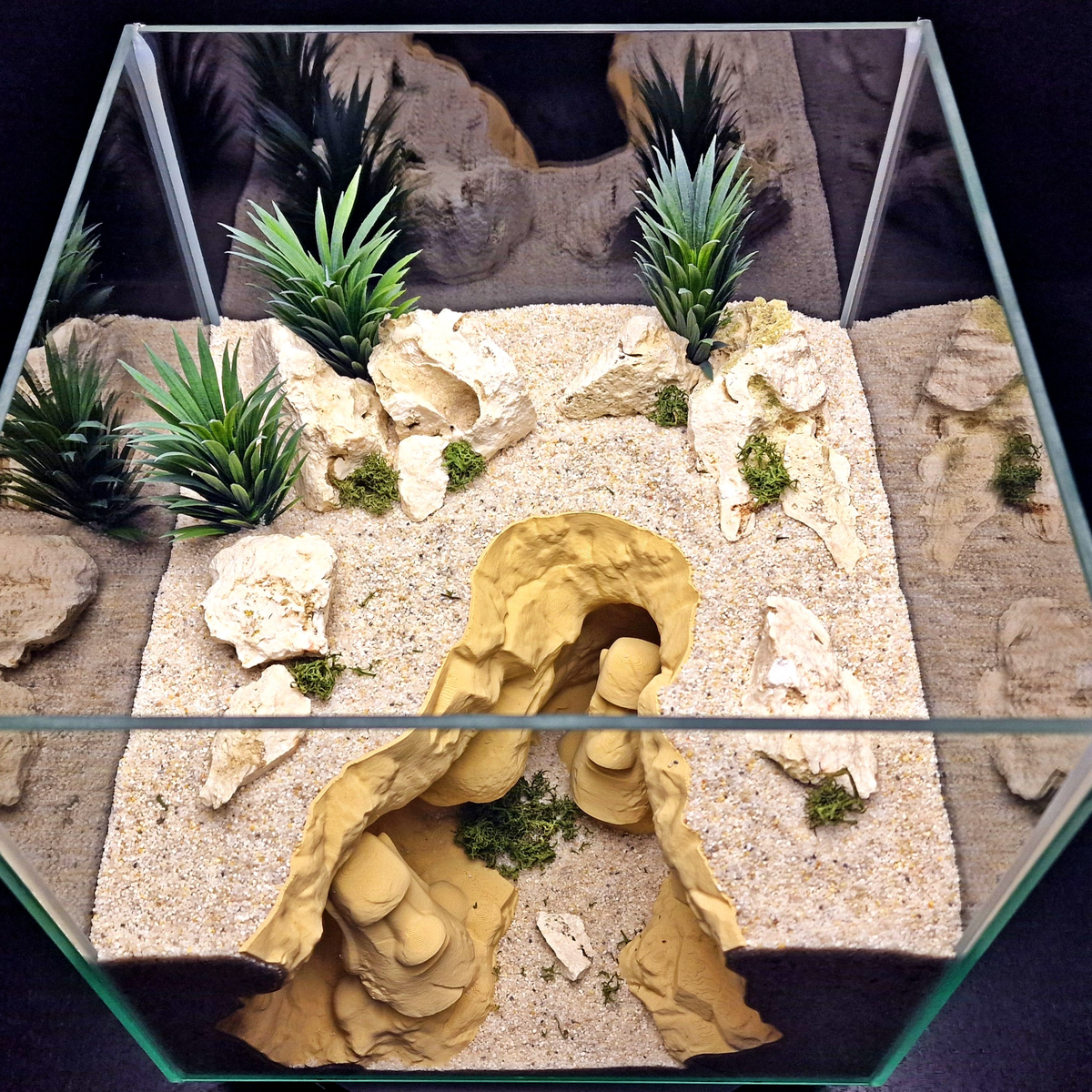 Cave 27 aquarium habitat view 5