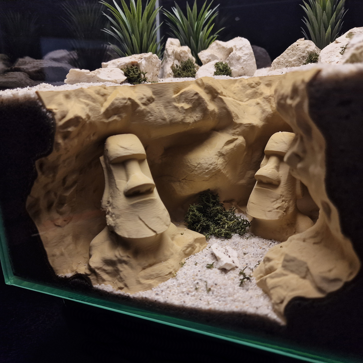 Cave 27 aquarium habitat view 8