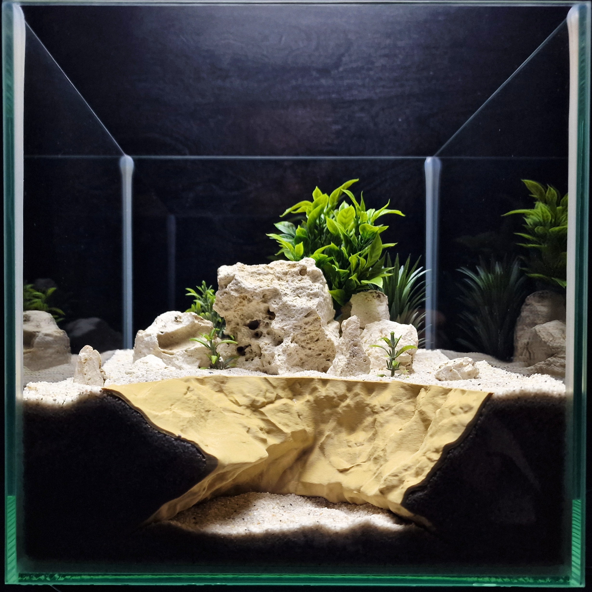 Cave 29 aquarium habitat view 2