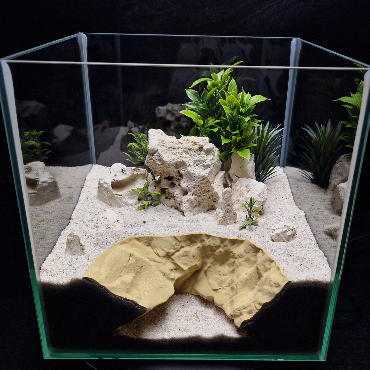 Cave 29 aquarium habitat view 5