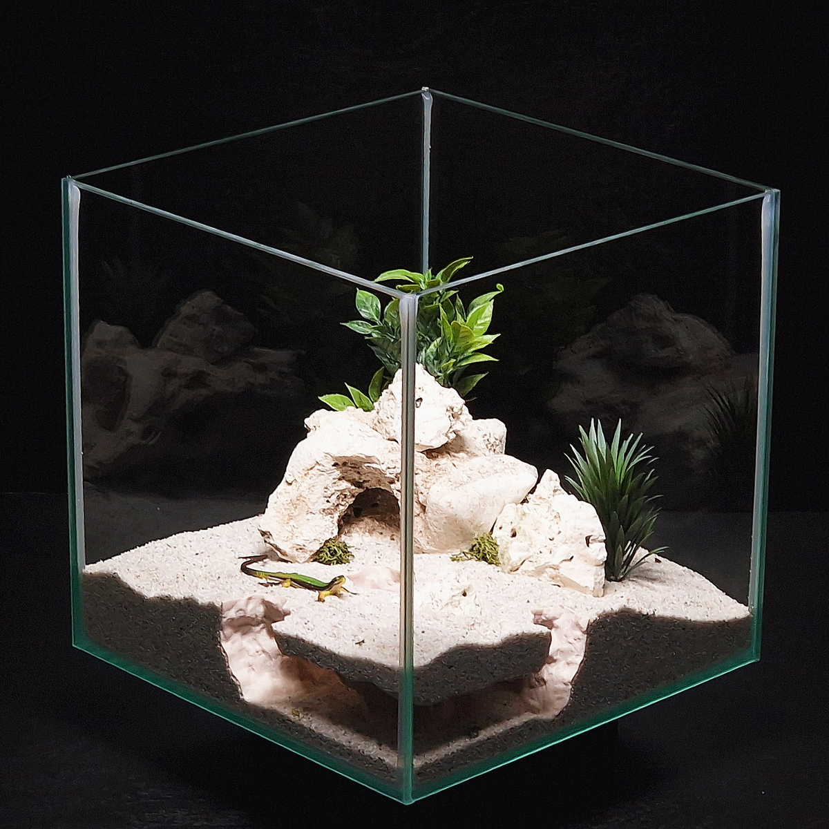 Cave 6 aquarium habitat view 5