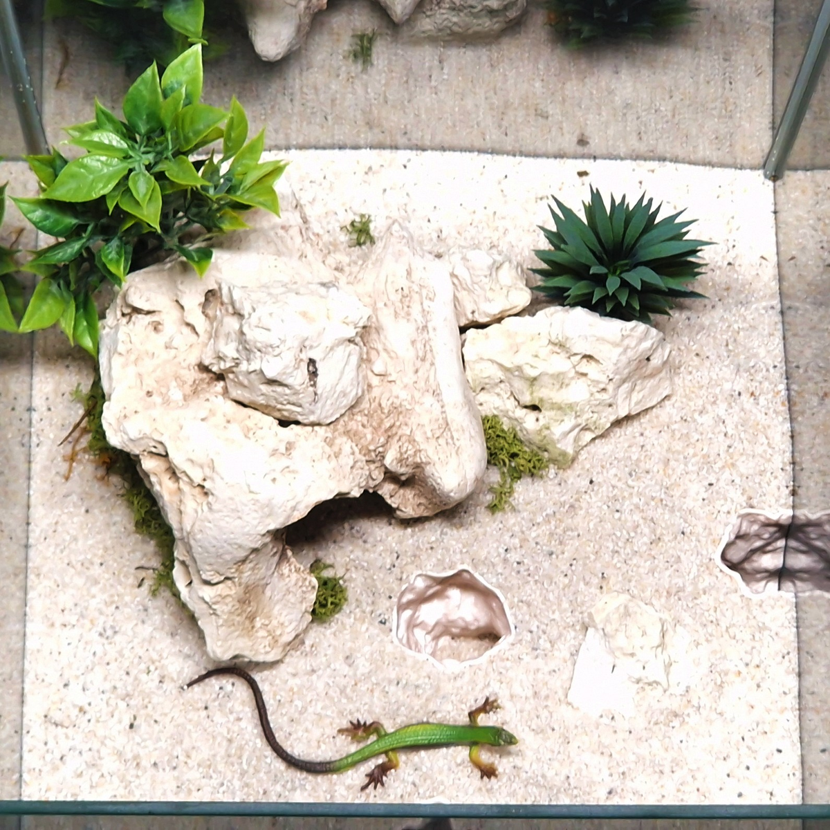 Cave 6 aquarium habitat view 7