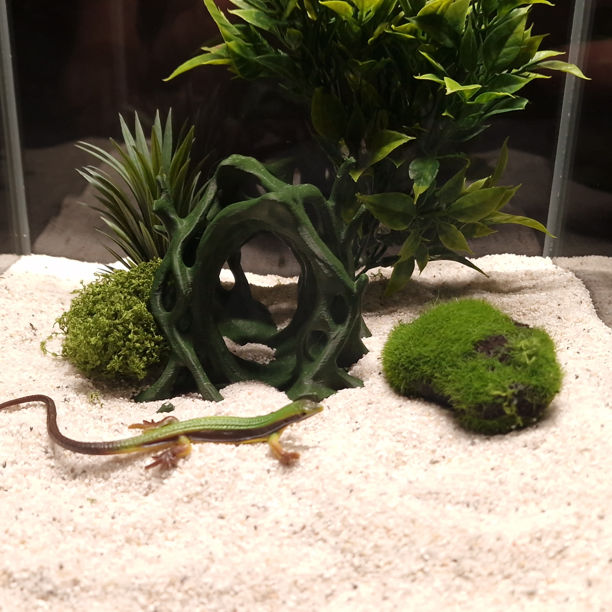 Cave 9 aquarium habitat view 4
