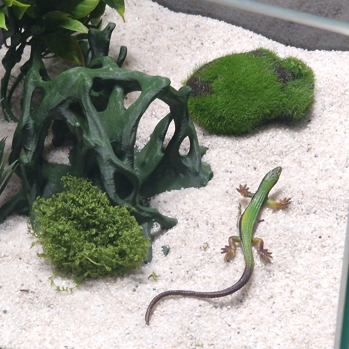 Cave 9 aquarium habitat view 9