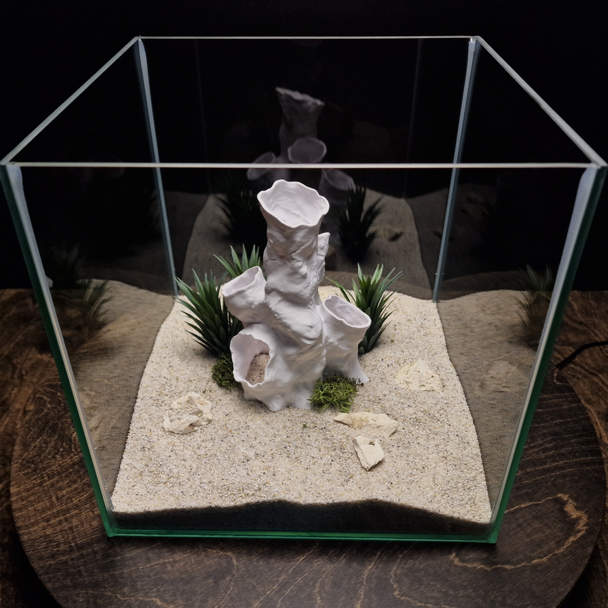 Coral Tunnel aquarium habitat view 2