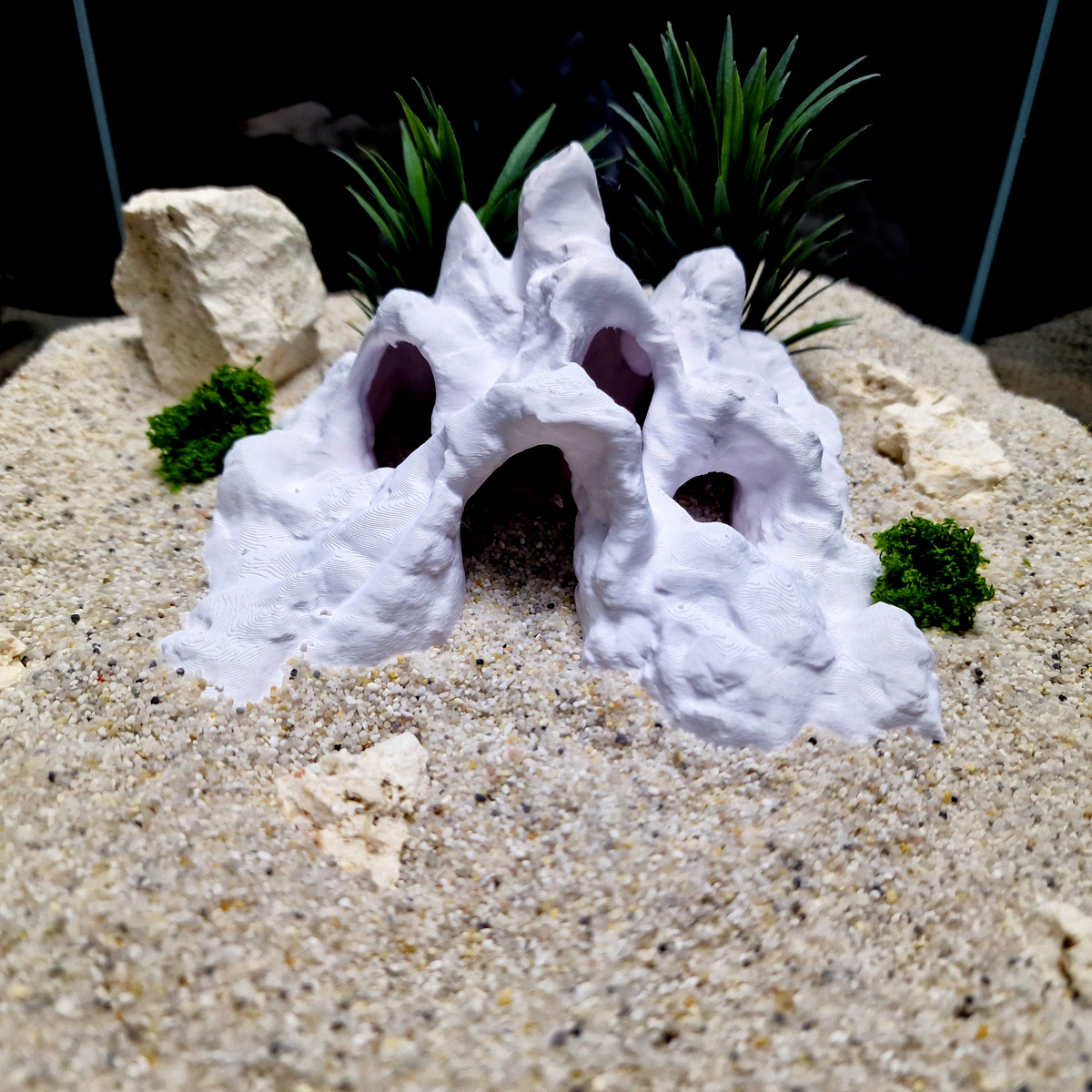 Hadals Rise aquarium habitat view 2
