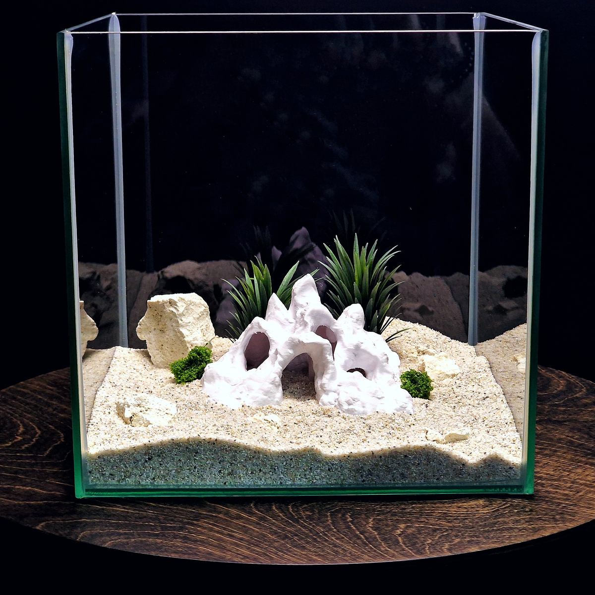 Hadals Rise aquarium habitat view 4
