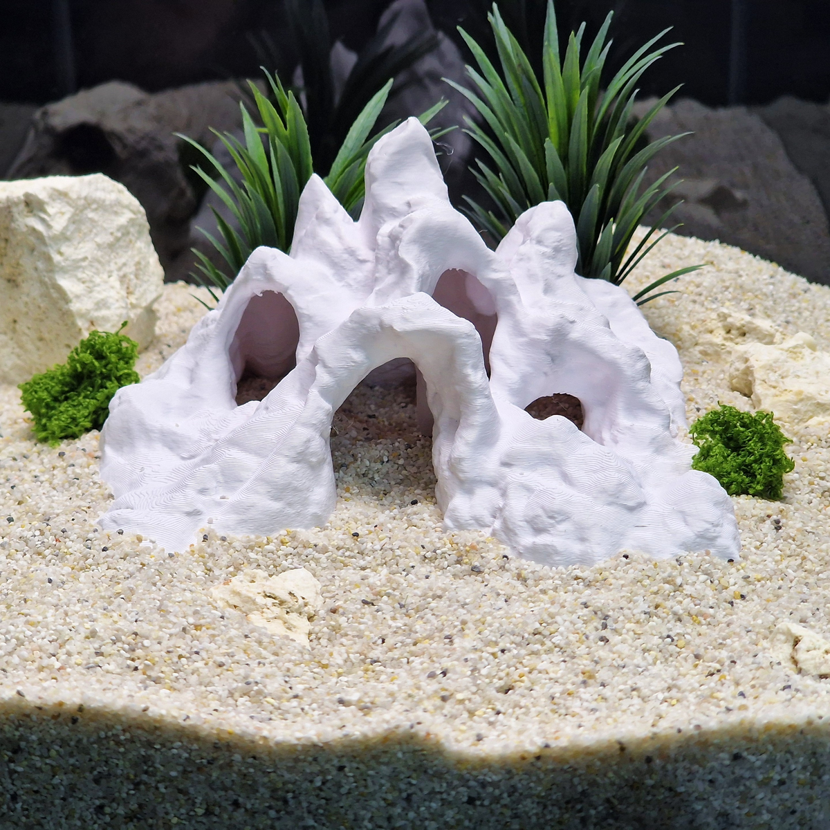 Hadals Rise aquarium habitat view 5