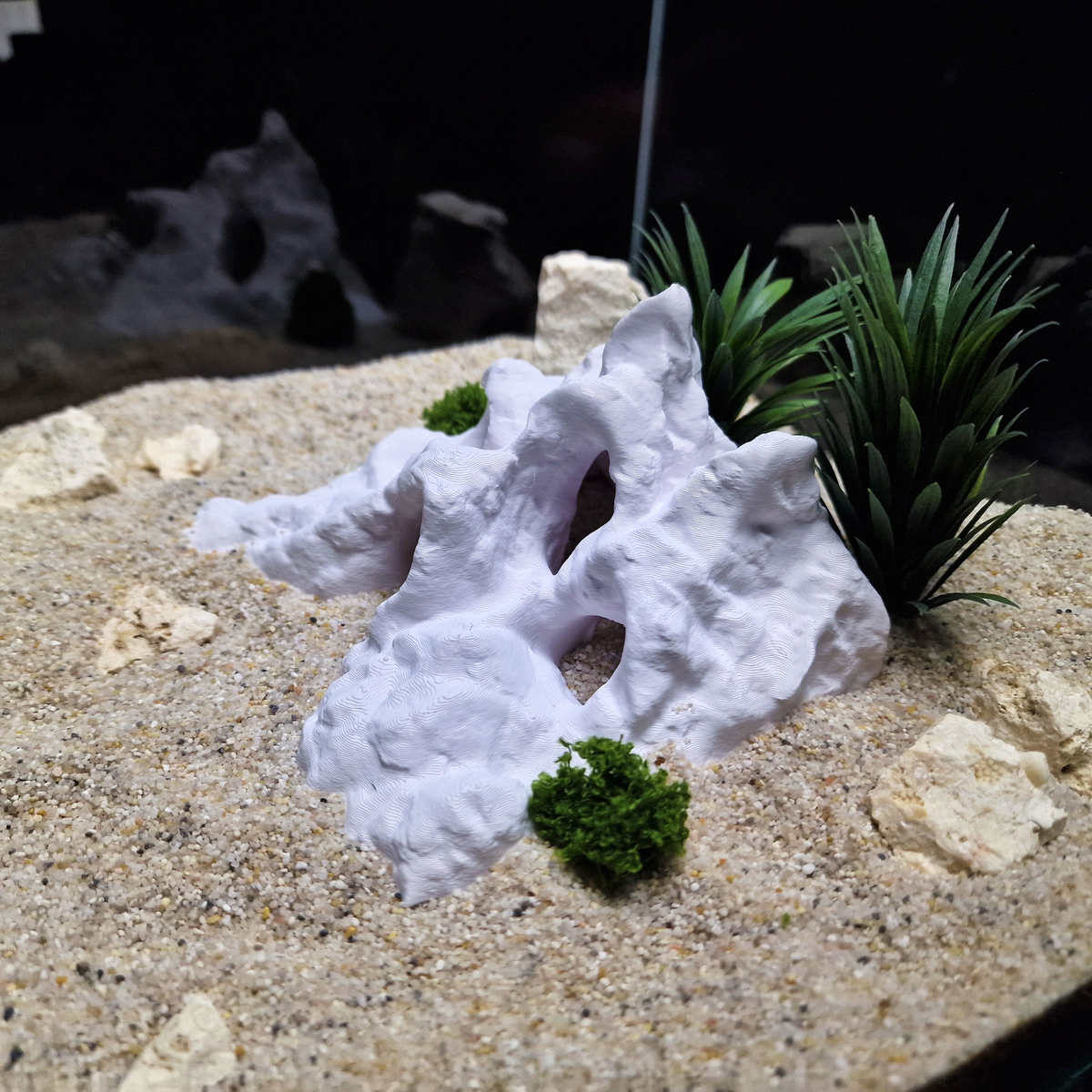 Hadals Rise aquarium habitat view 7
