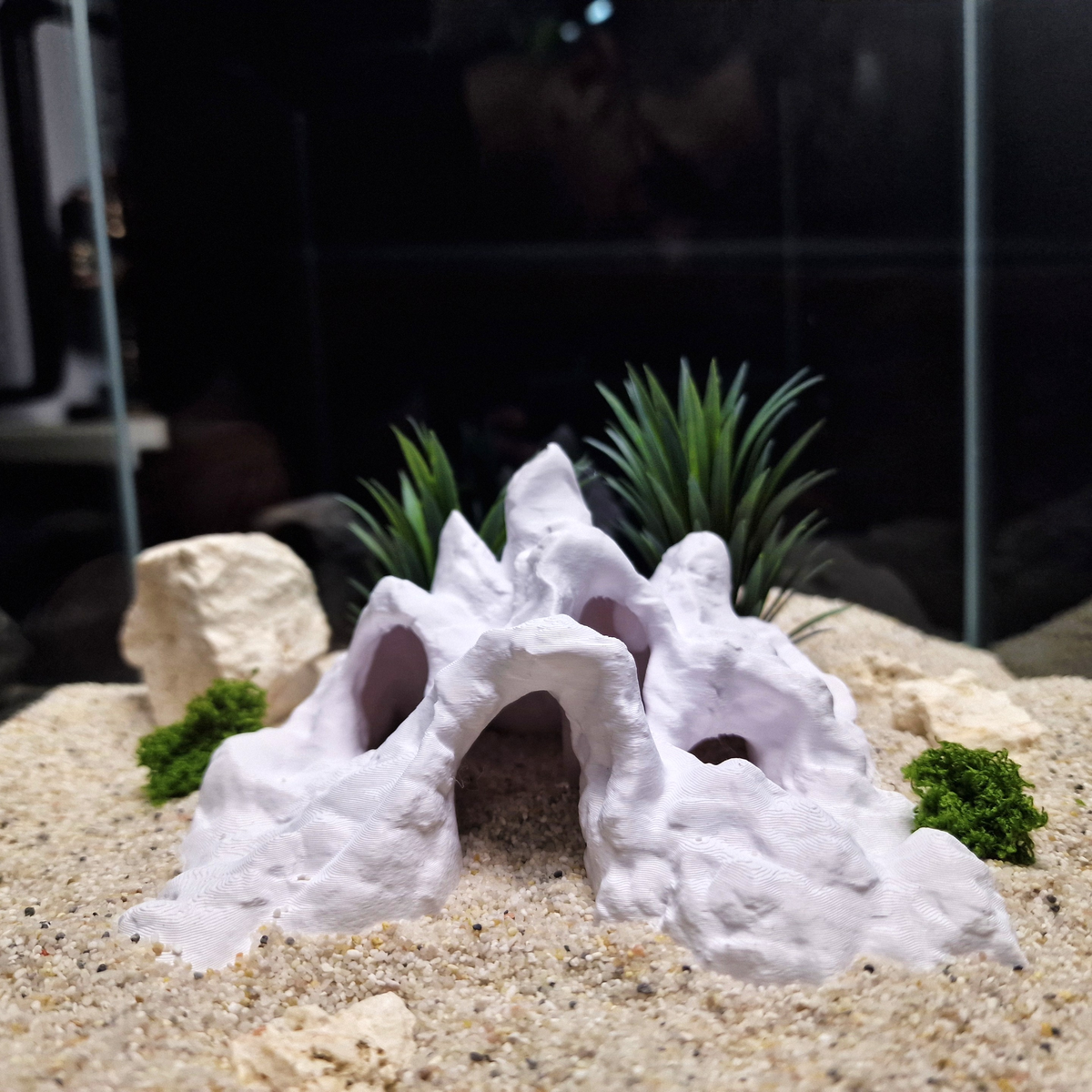 Hadals Rise aquarium habitat view 9