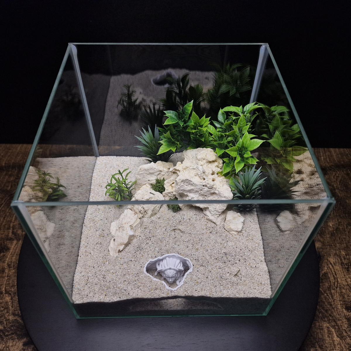 Medusa'S Lair aquarium habitat view 5