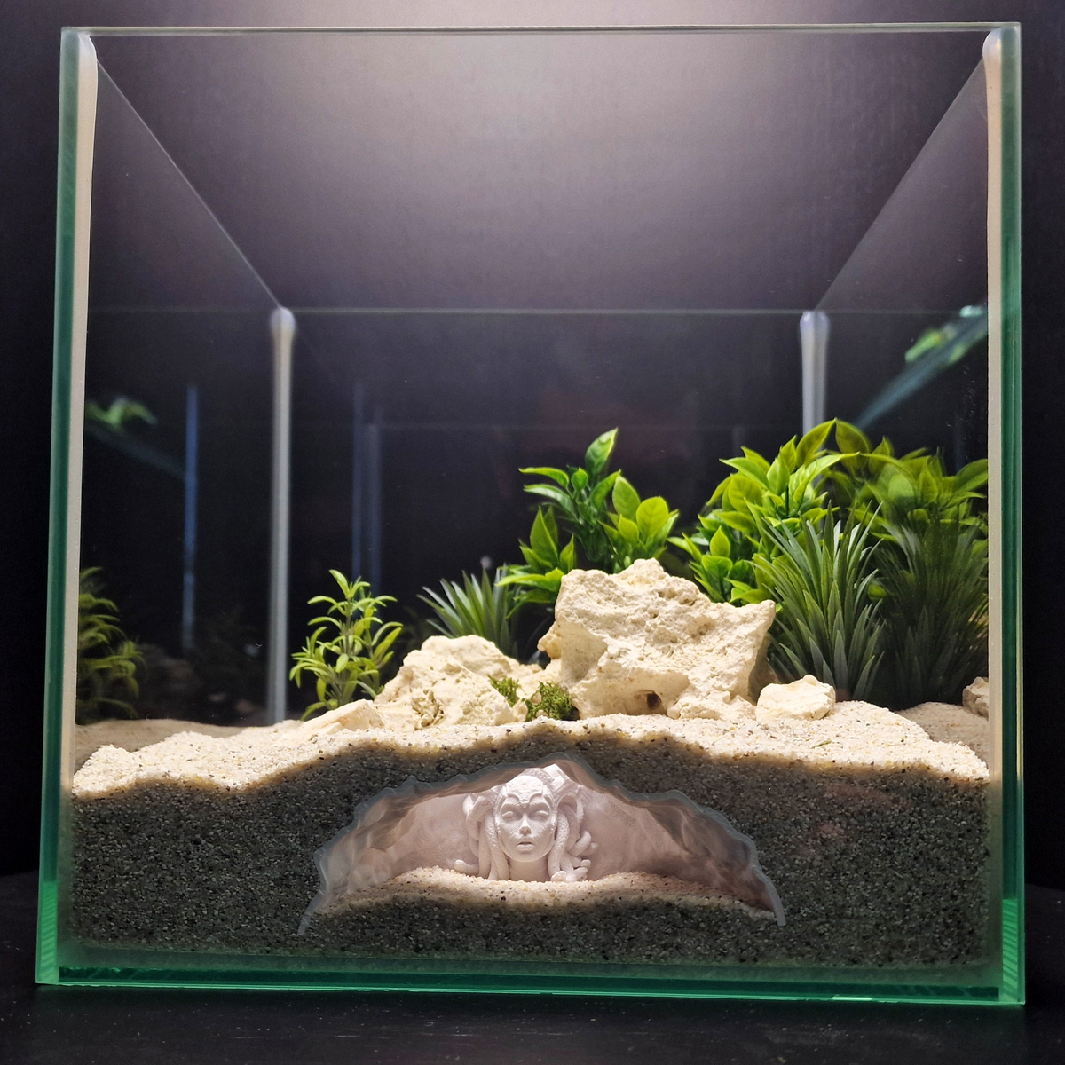 Medusa'S Lair aquarium habitat view 6