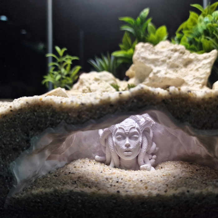 Medusa'S Lair aquarium habitat view 7
