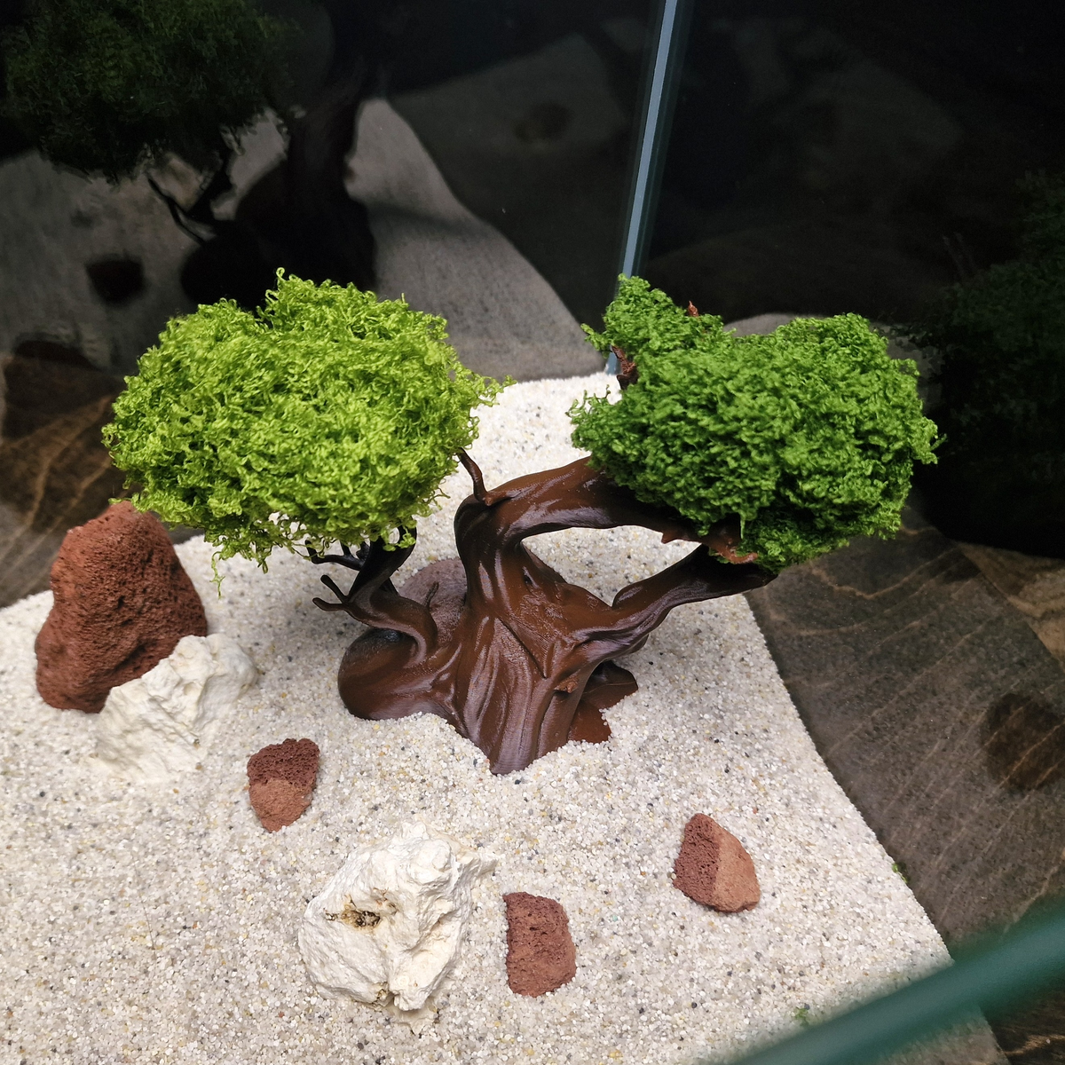 Mysterious Tree source 005 3