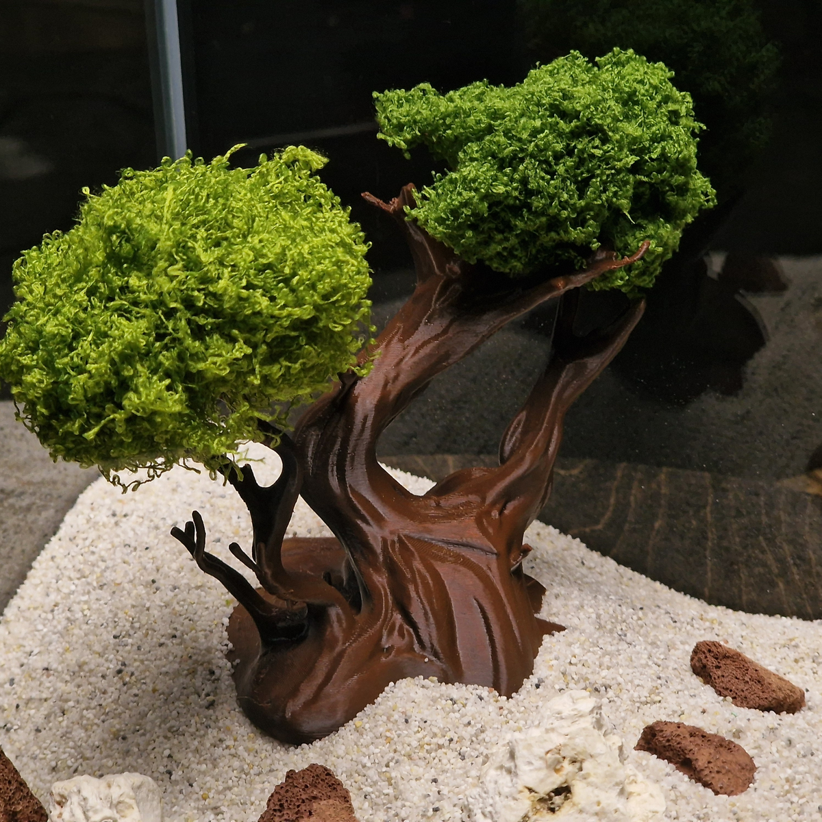 Mysterious Tree source 006 4