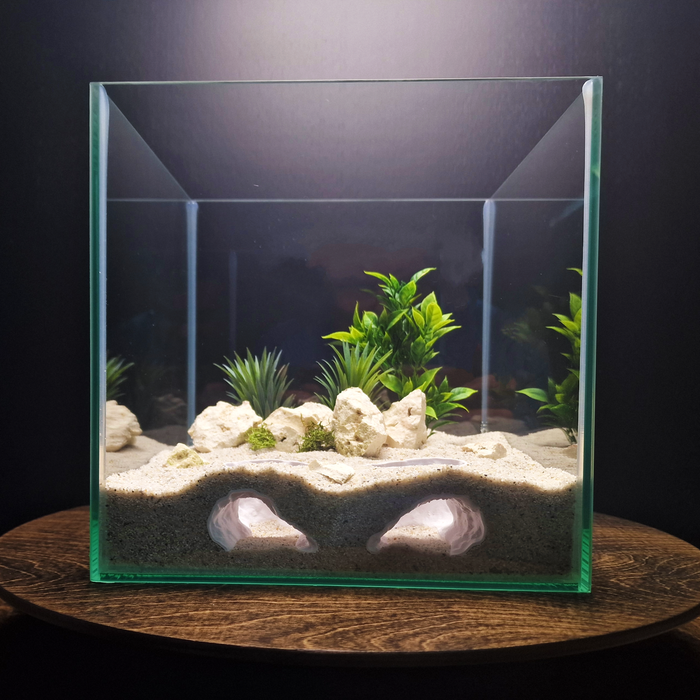 Ocean Eyes aquarium habitat view 2