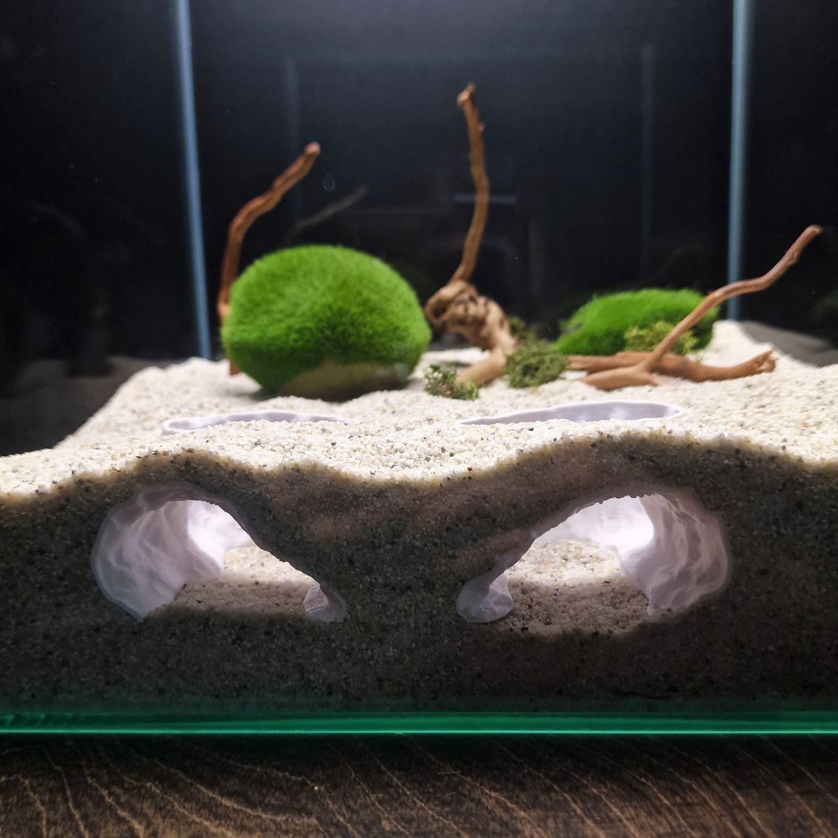 Ocean Eyes aquarium habitat view 3