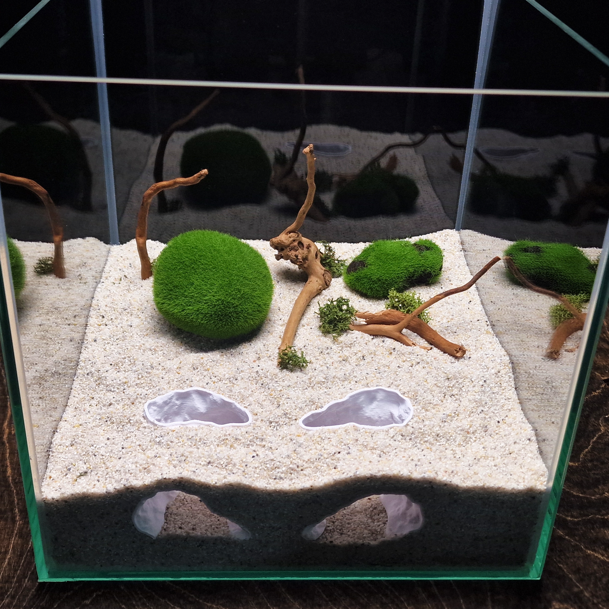 Ocean Eyes aquarium habitat view 5