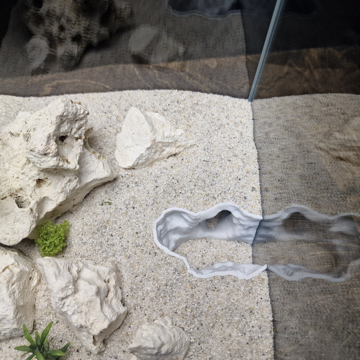 ReefSand view 002 10