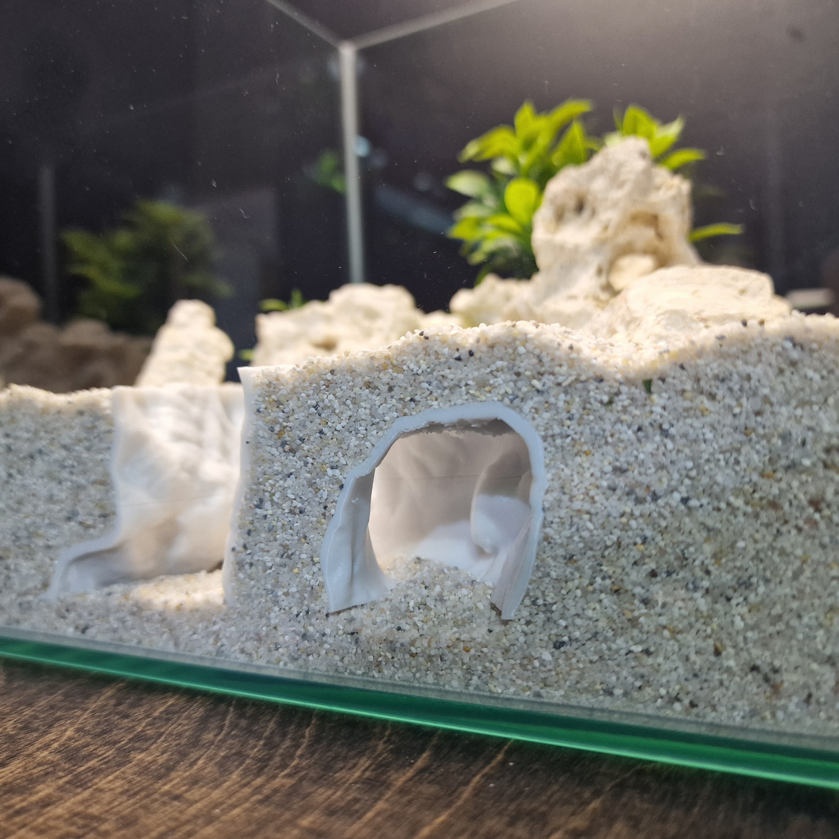 ReefSand view 003 2
