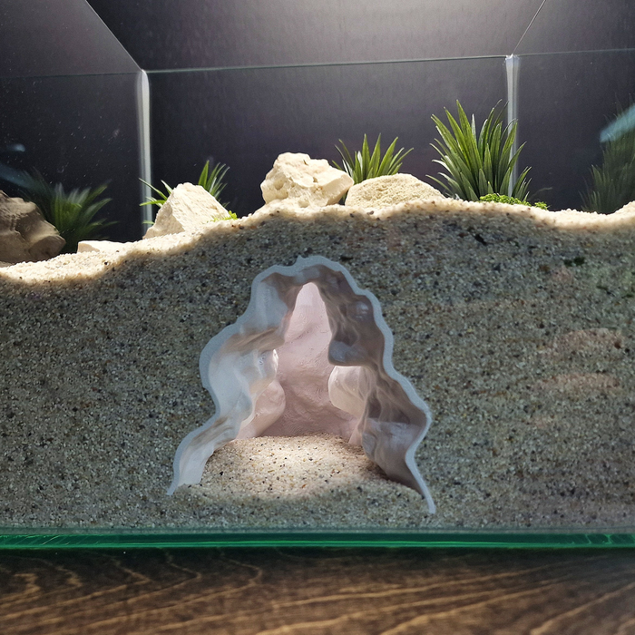 Rift Channel aquarium habitat view 2