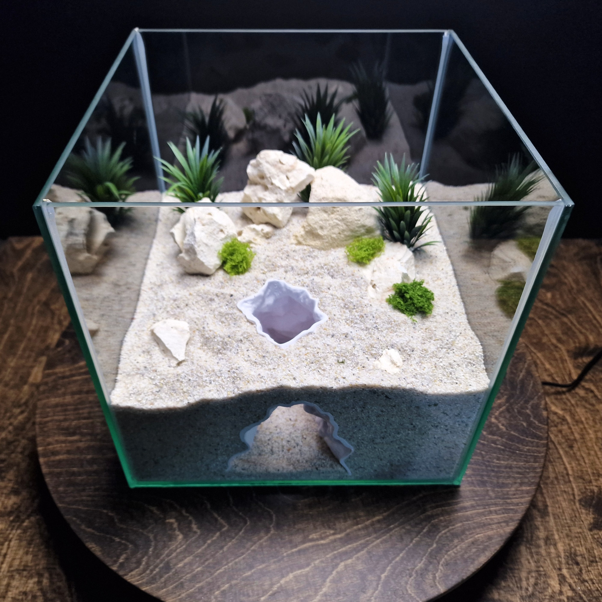 Rift Channel aquarium habitat view 6