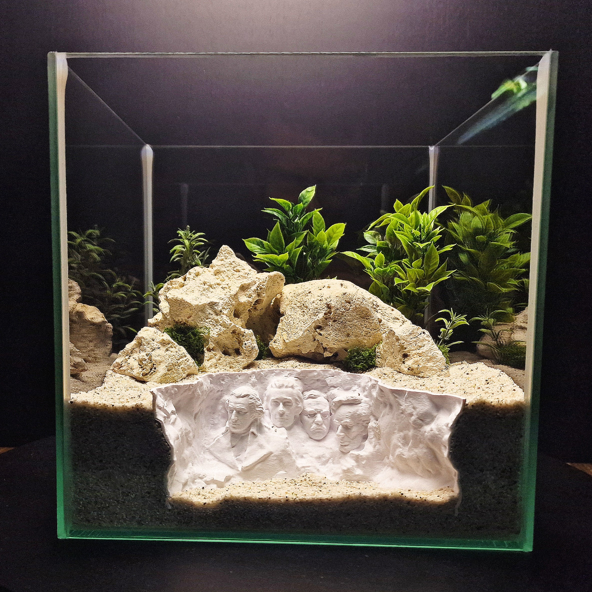 Rushmore Hollow aquarium habitat view 2