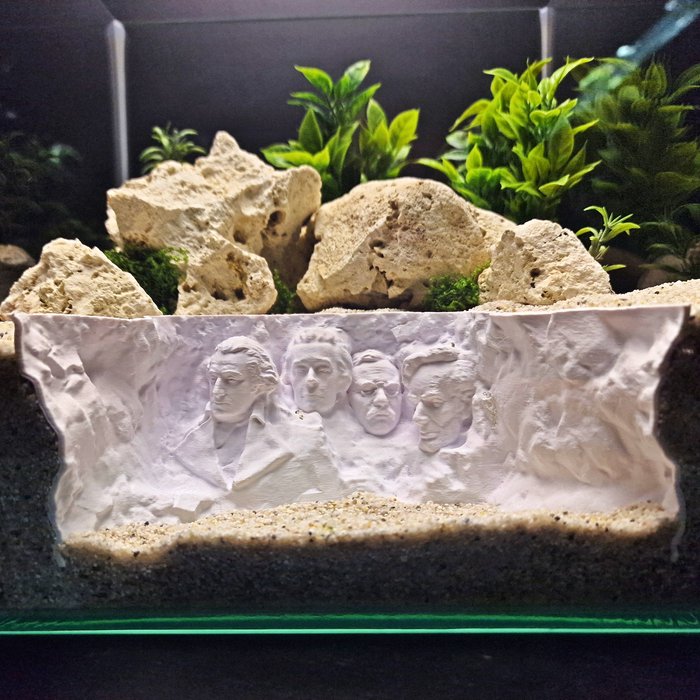 Rushmore Hollow aquarium habitat view 5