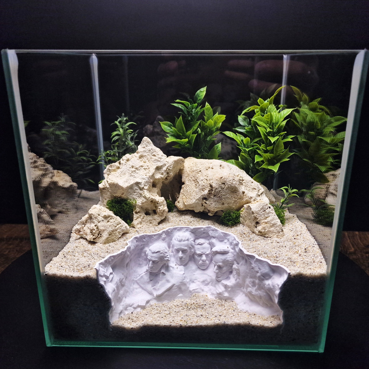 Rushmore Hollow aquarium habitat view 6