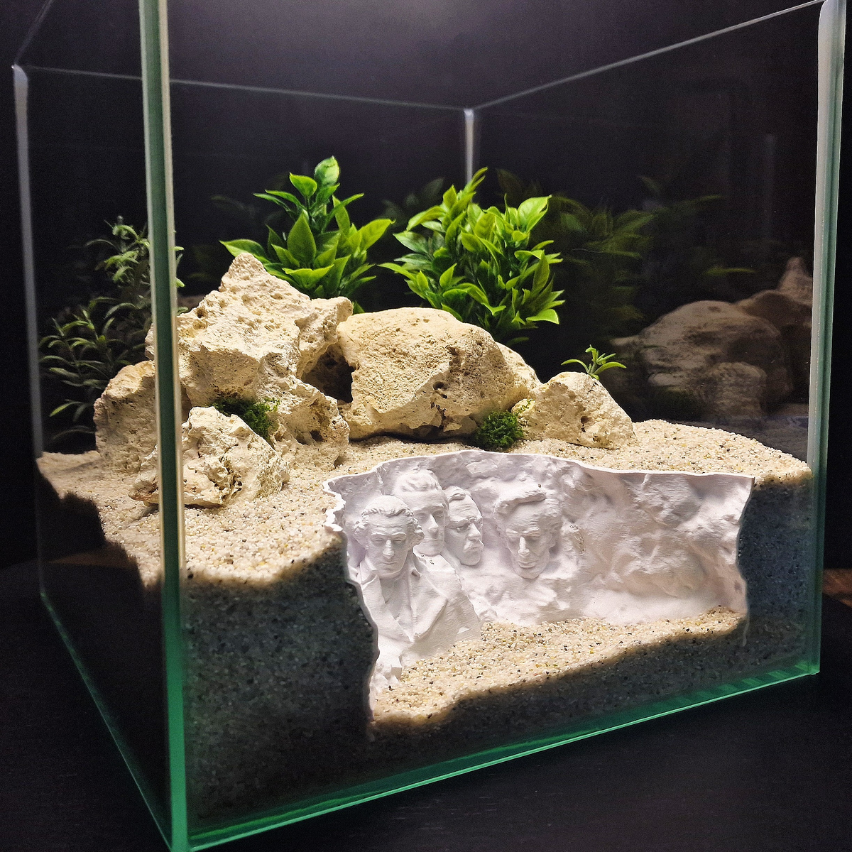 Rushmore Hollow aquarium habitat view 7