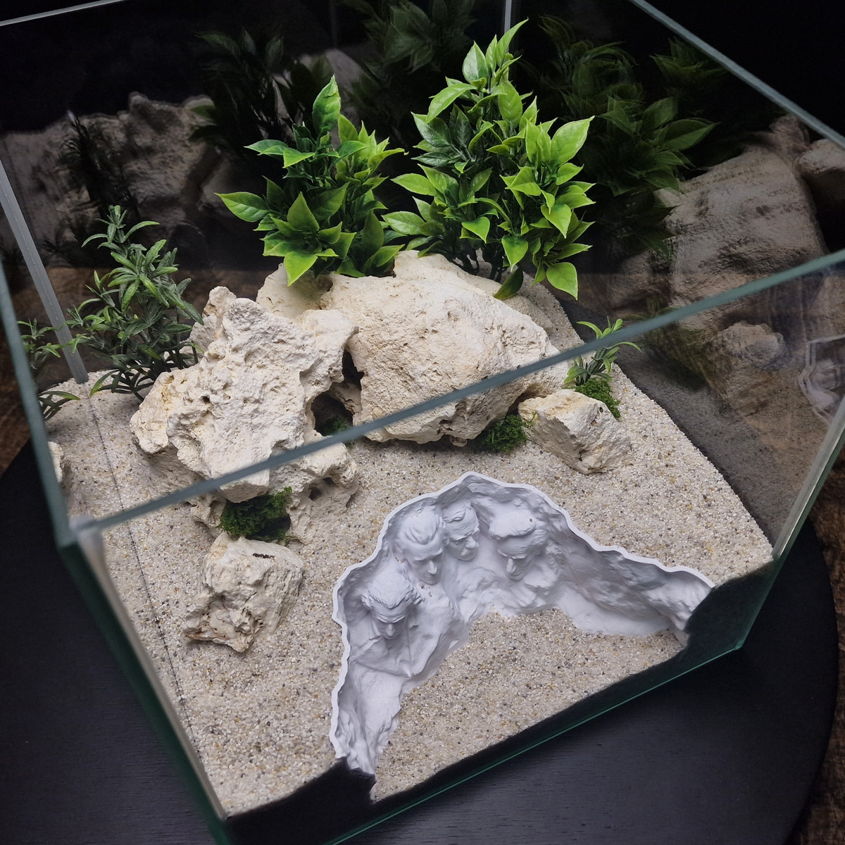 Rushmore Hollow aquarium habitat view 8