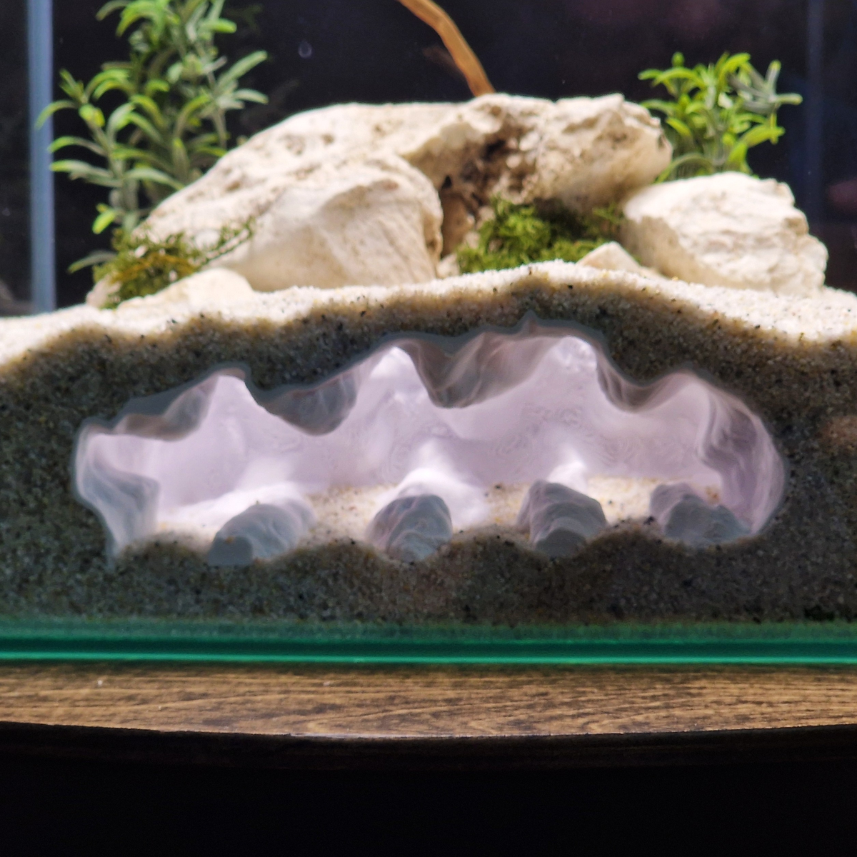 Sea Beast aquarium habitat view 2