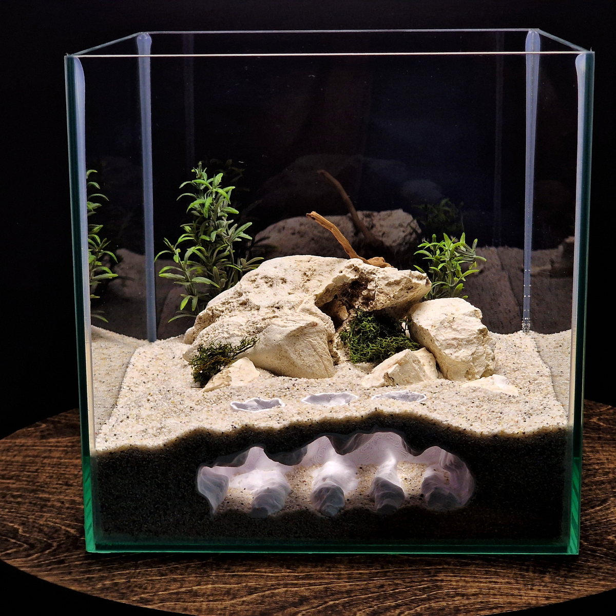 Sea Beast aquarium habitat view 3