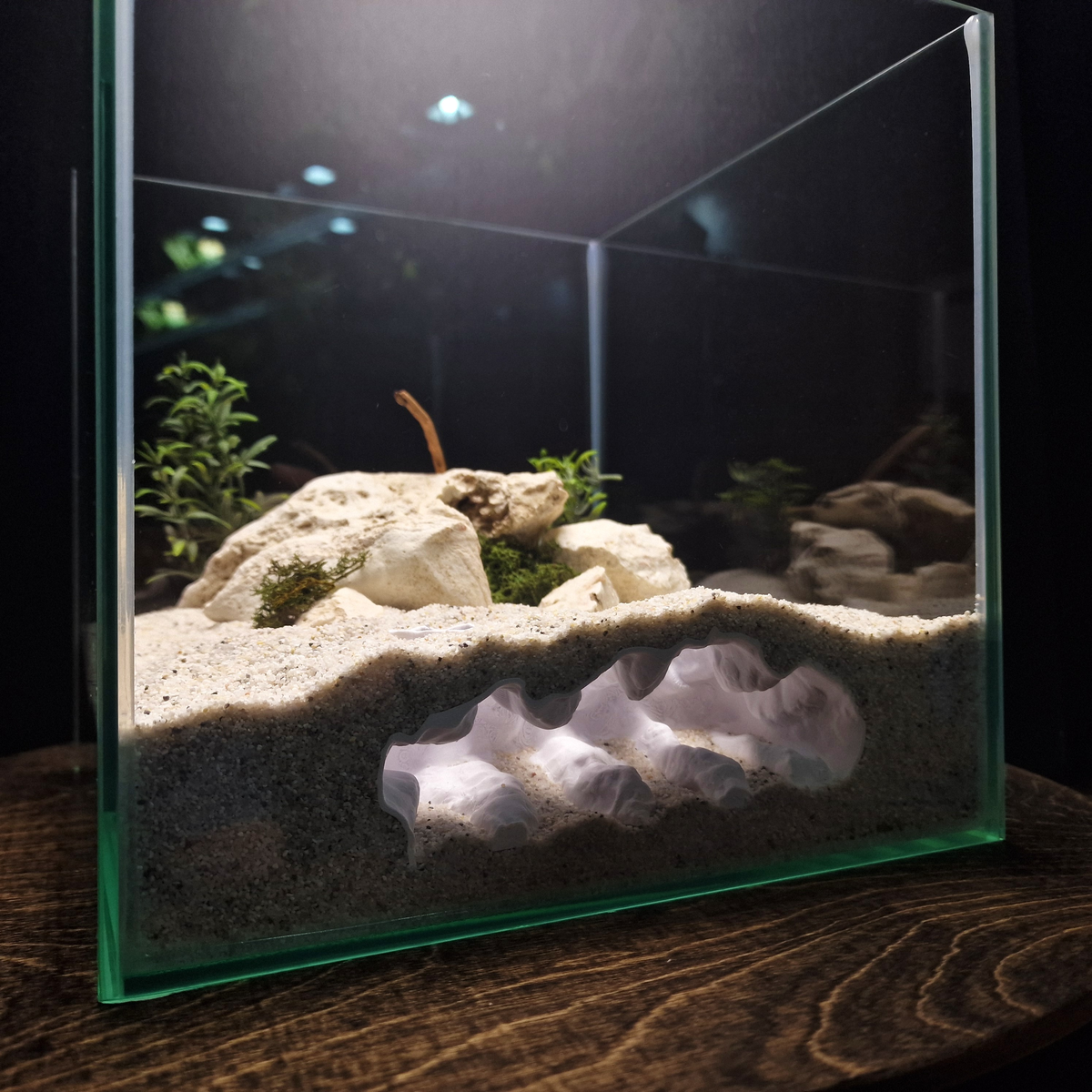 Sea Beast aquarium habitat view 5