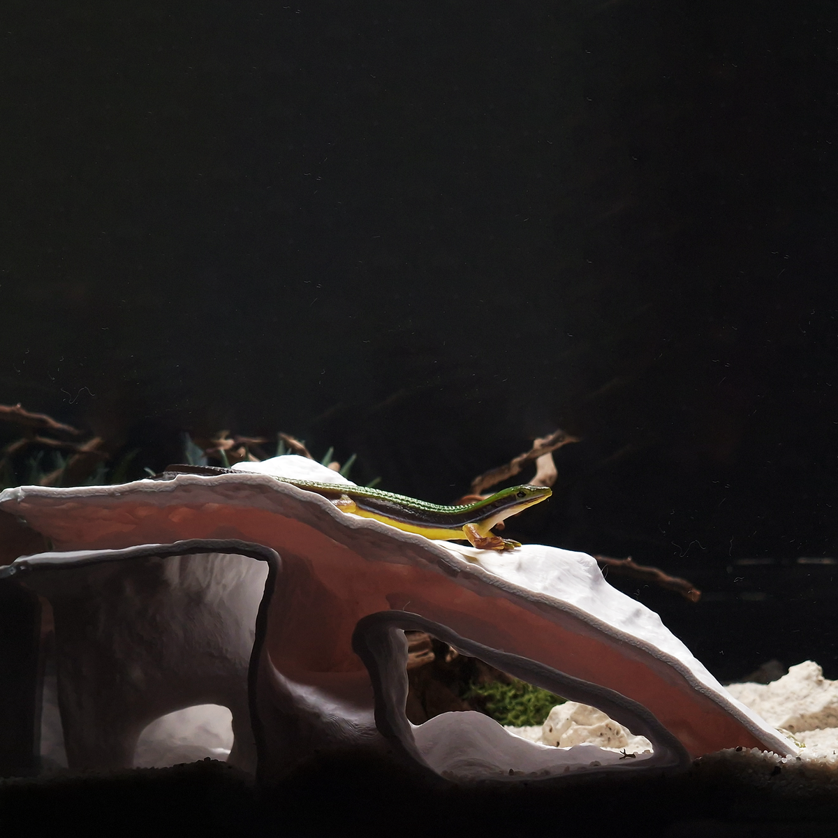 BreezeStone Cave — source 003 2