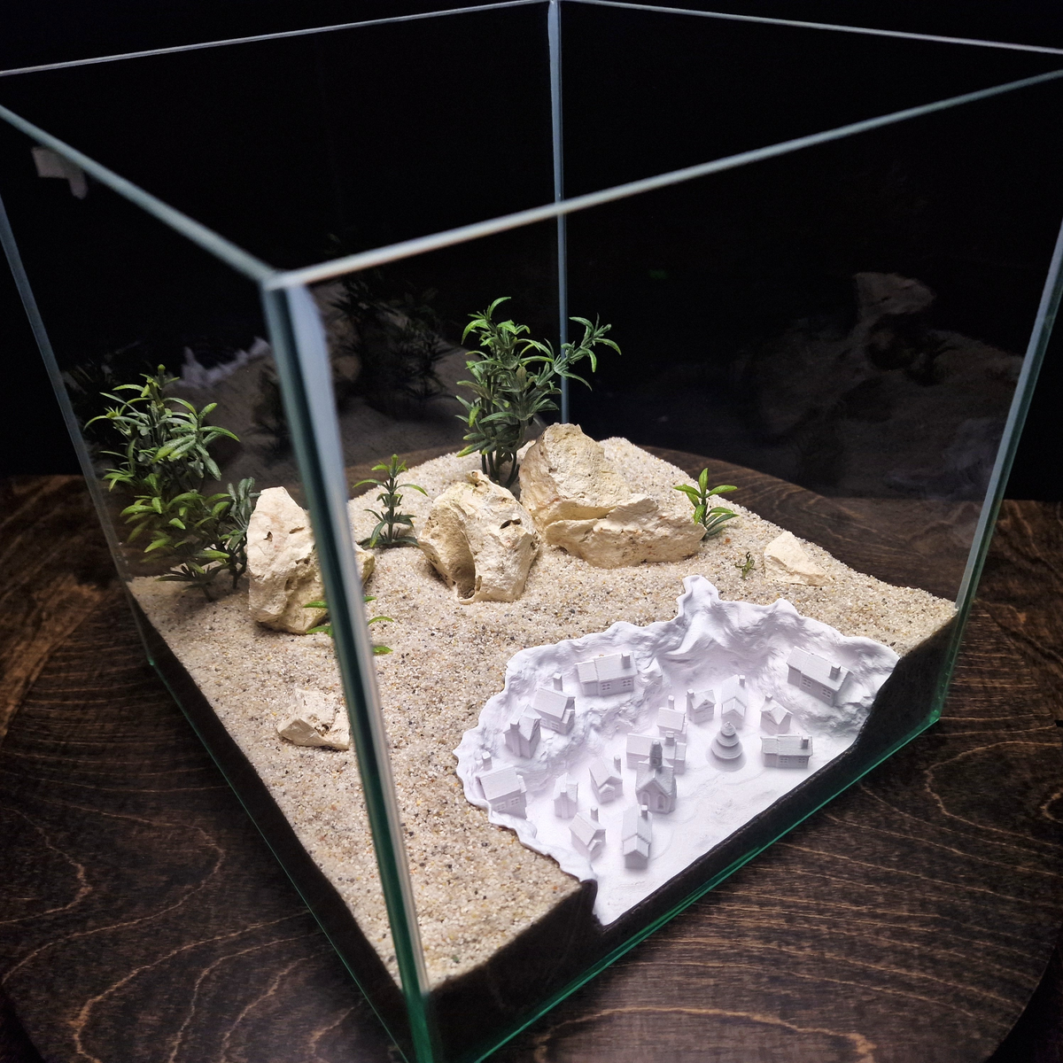 Christmas Town Aquarium Village — source 002 11