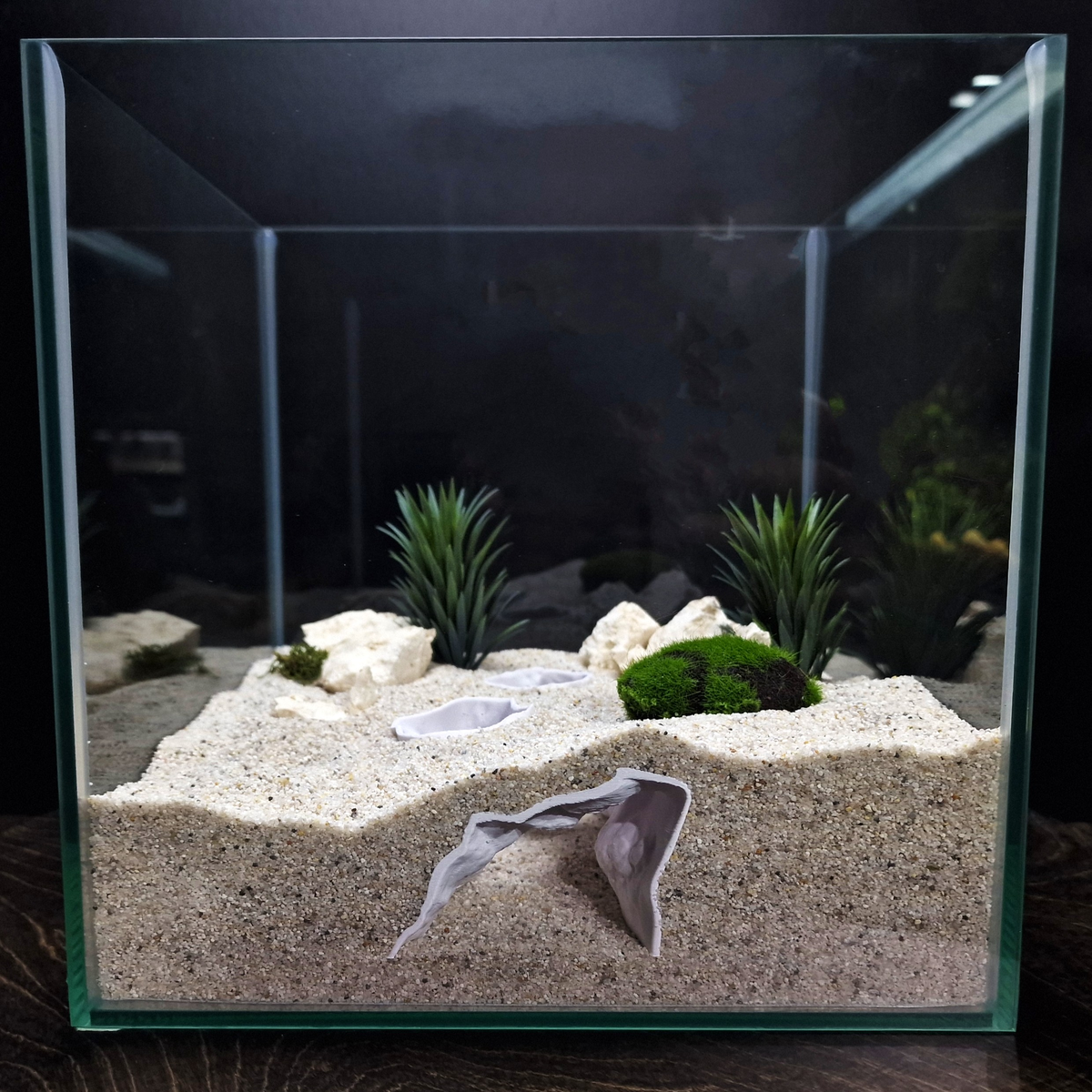 DriftCore Aquarium Tunnel — source 001 1